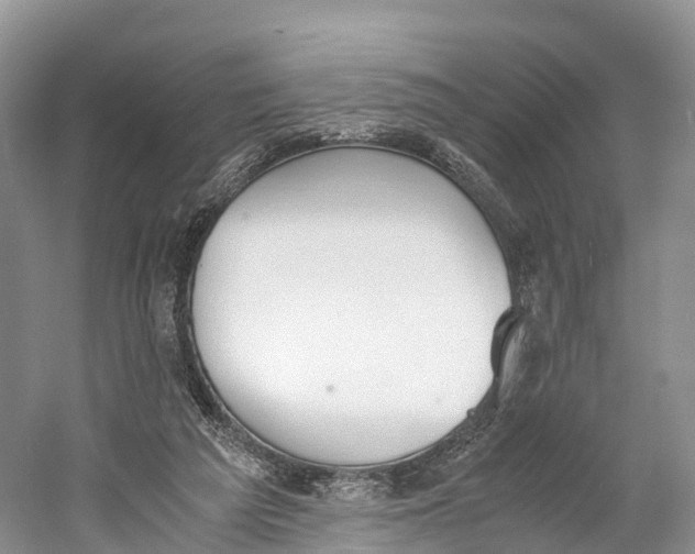 X0000060800209200512011742