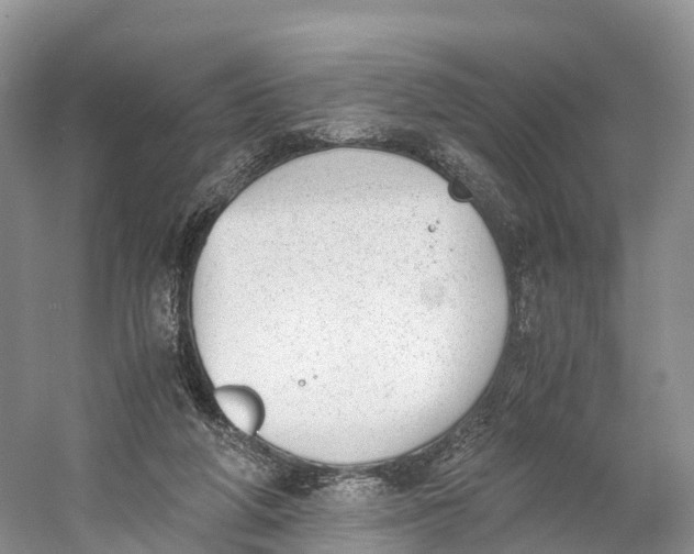 X0000060800210200512011742