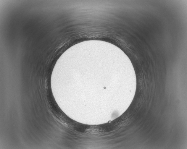 X0000060800211200512011742