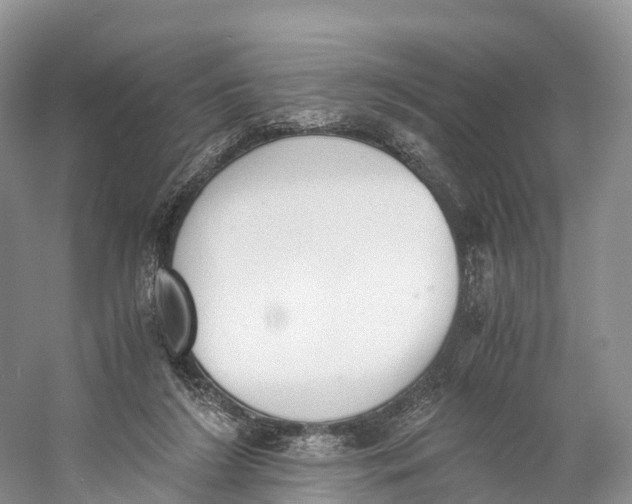 X0000060800212200512011742