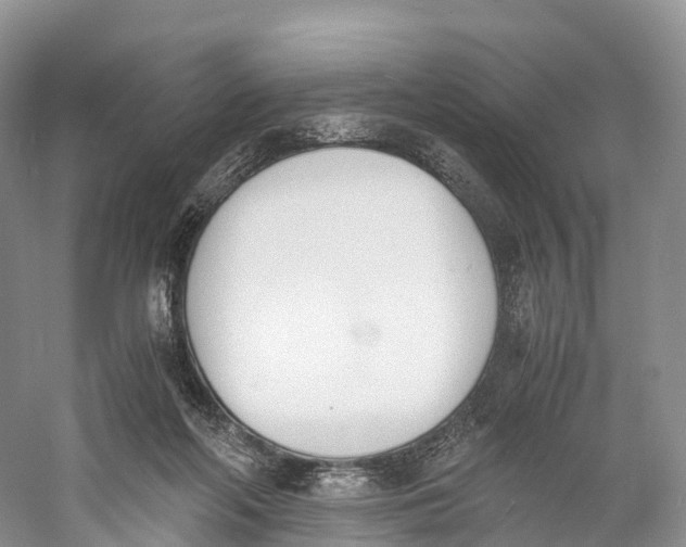 X0000060800214200512011742