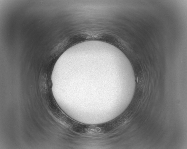 X0000060800215200512011742