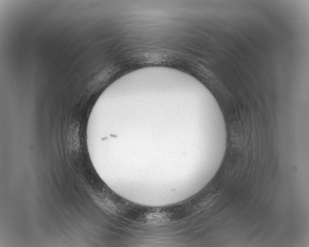 X0000060800216200512011742