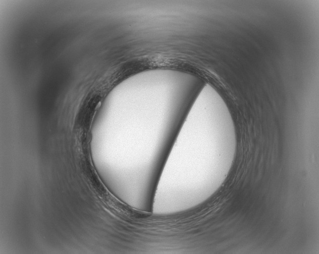 X0000060800217200512011742