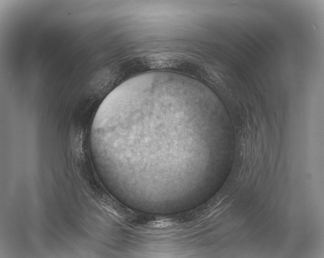 X0000060800219200512011742