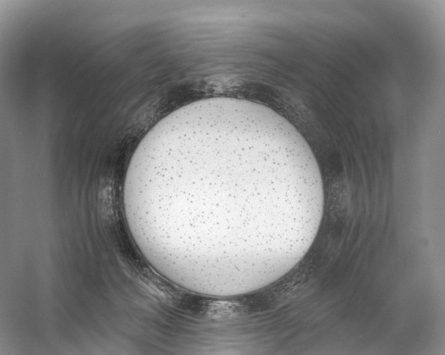 X0000060800222200512011742