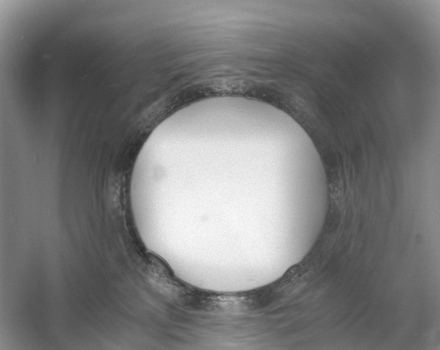 X0000060800233200512011741