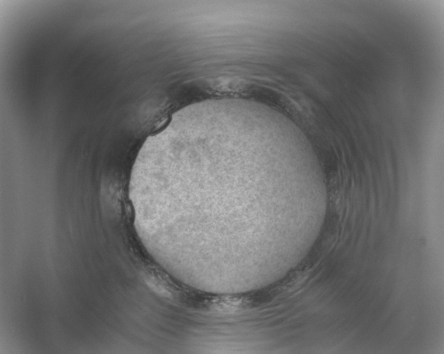 X0000060800235200512011741