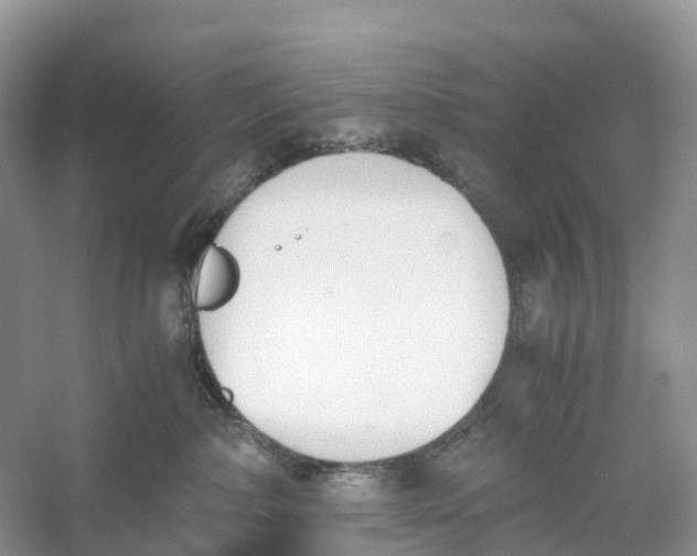 X0000060800236200512011741