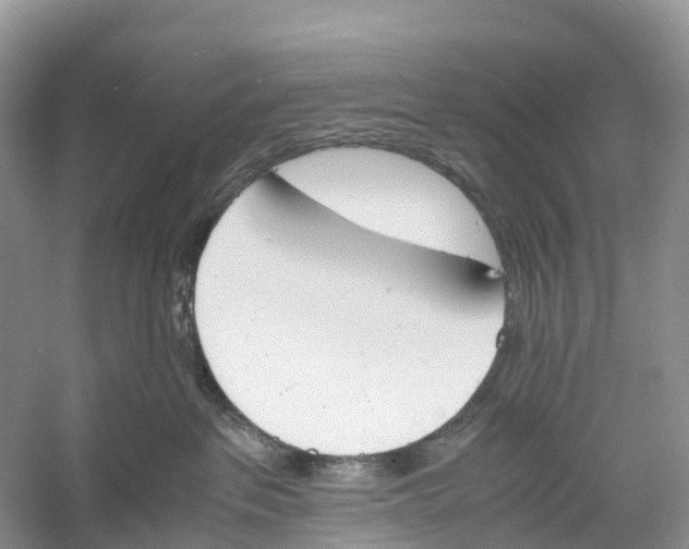 X0000060800237200512011741