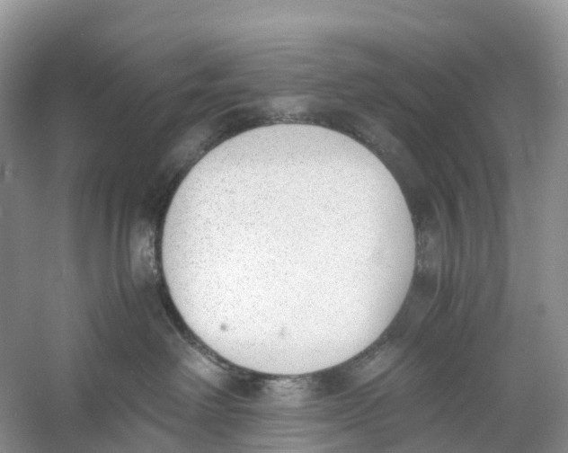 X0000060800238200512011741