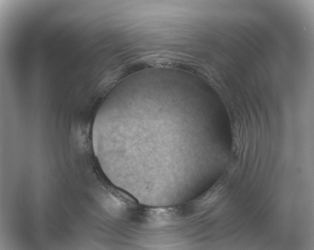 X0000060800239200512011741