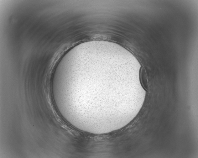 X0000060800241200512011740