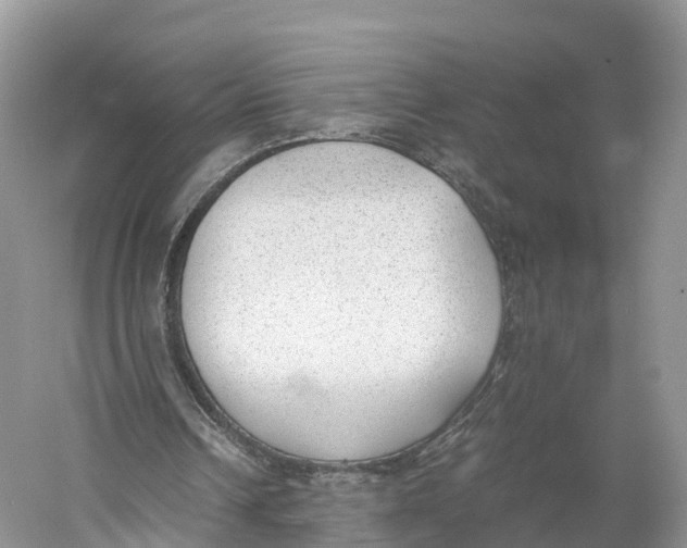 X0000060800242200512011740