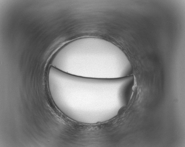 X0000060800243200512011740