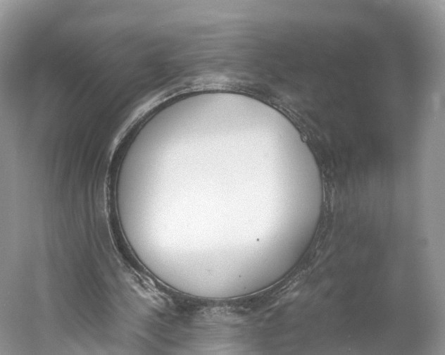 X0000060800244200512011740