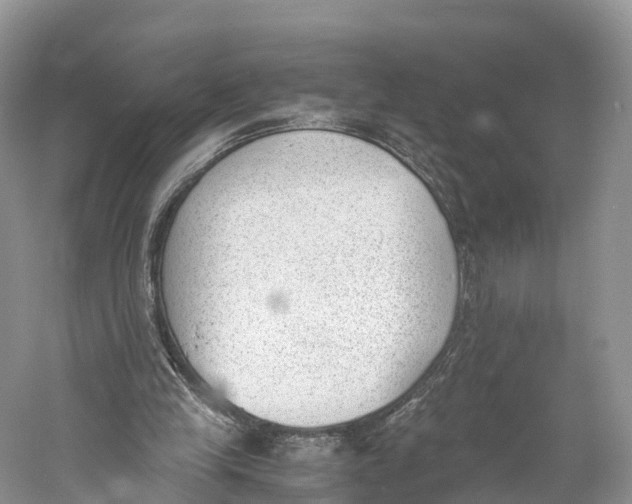 X0000060800245200512011740