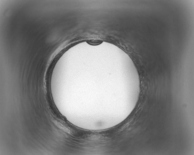 X0000060800246200512011740