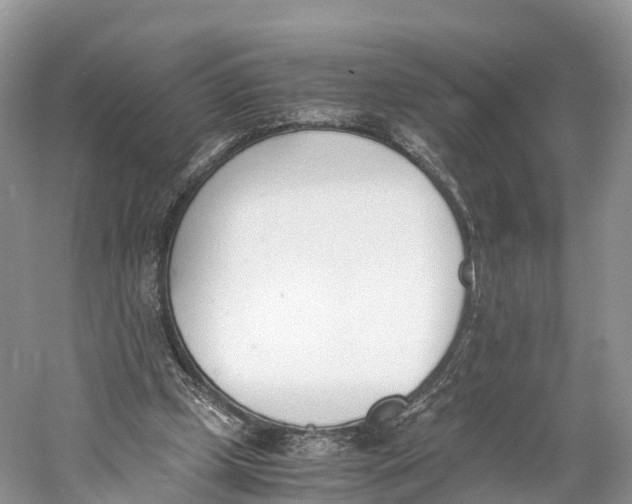 X0000060800249200512011741