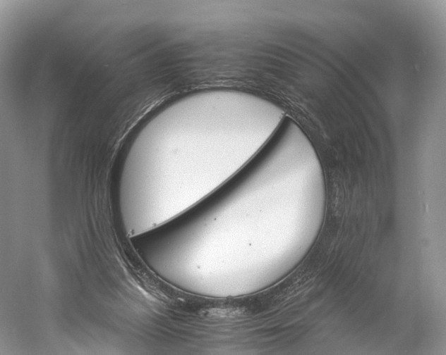 X0000060800251200512011741