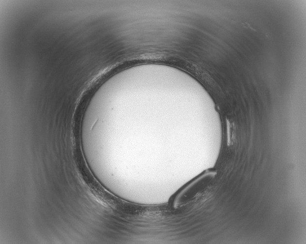 X0000060800252200512011741