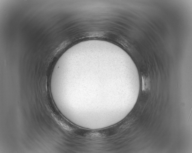 X0000060800253200512011741