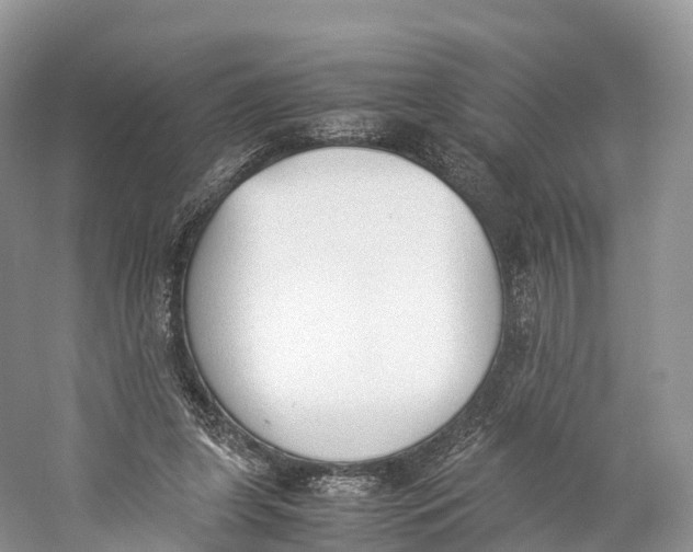 X0000060800255200512011741