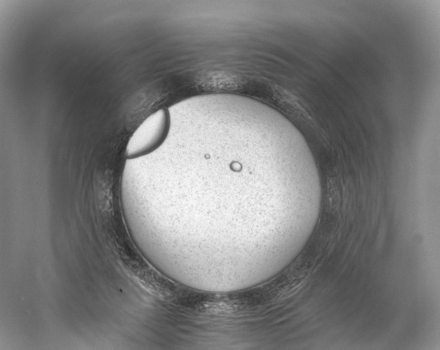 X0000060800259200512011741