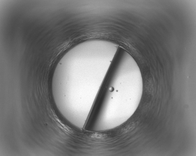 X0000060800261200512011741