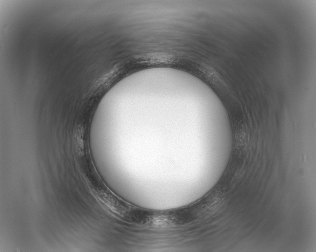 X0000060800264200512011741