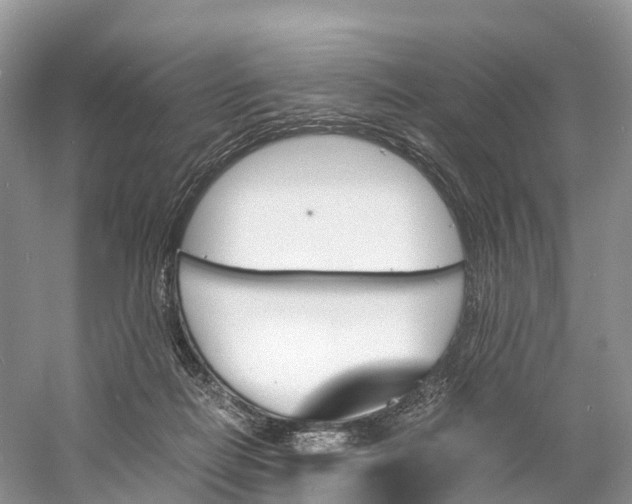 X0000060800266200512011741