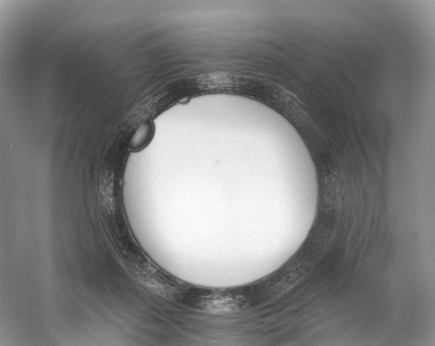 X0000060800267200512011741