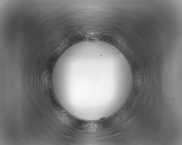 X0000060800276200512011741