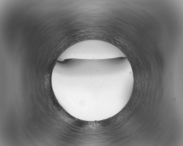 X0000060800278200512011741