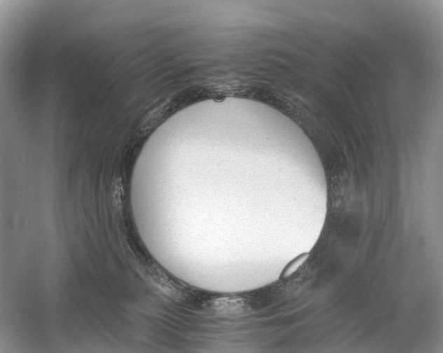 X0000060800279200512011741