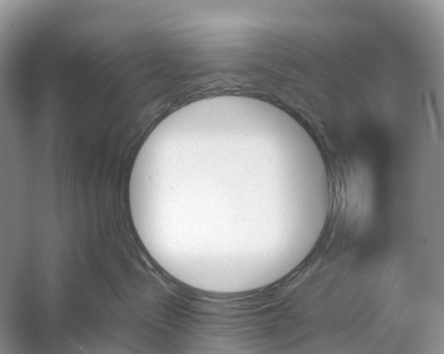 X0000060800288200512011741