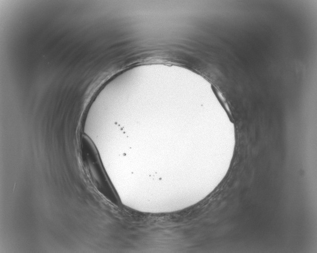 X0000060800289200512011740