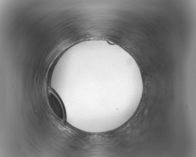 X0000060800290200512011740