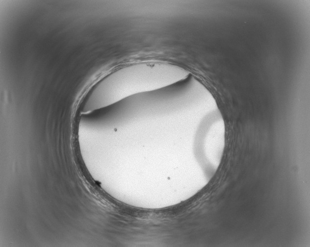 X0000060800293200512011740