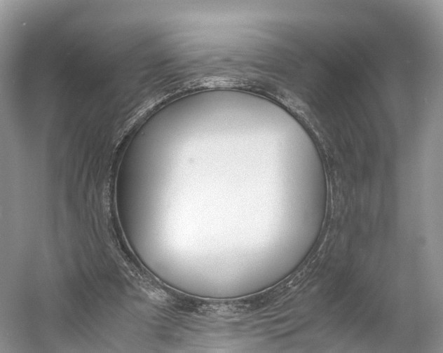 X0000060800297200512011740