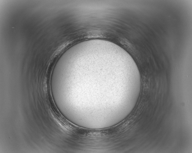 X0000060800298200512011740