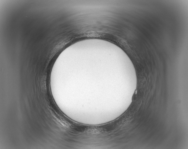 X0000060800299200512011740