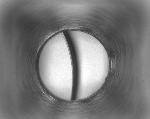 X0000060800301200512011740