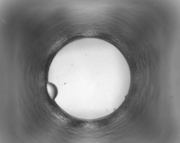 X0000060800303200512011740