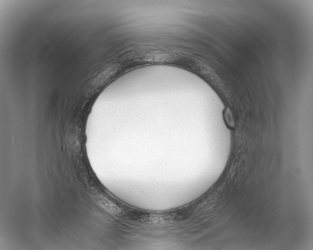 X0000060800305200512011740