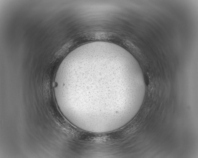 X0000060800306200512011740