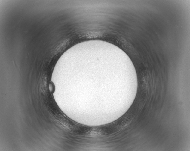 X0000060800308200512011740