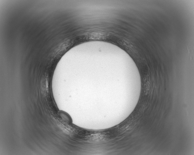 X0000060800310200512011740