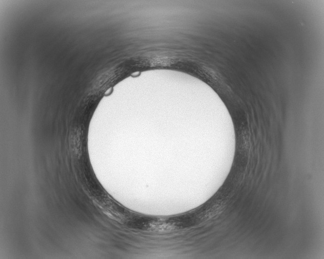 X0000060800311200512011740