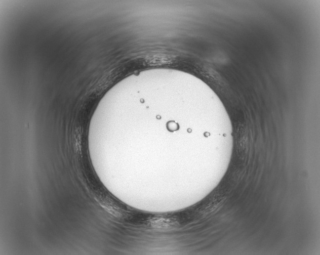 X0000060800315200512011740